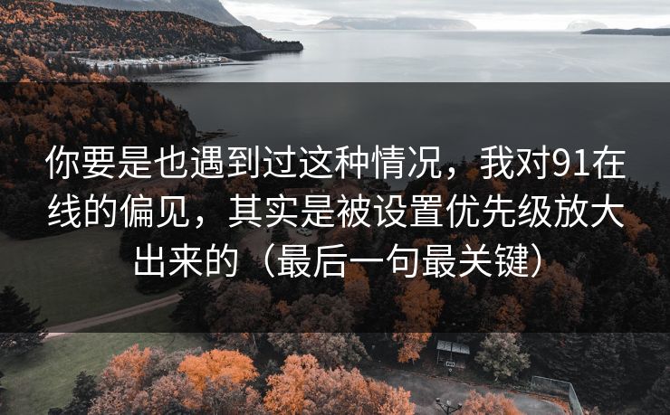你要是也遇到过这种情况，我对91在线的偏见，其实是被设置优先级放大出来的（最后一句最关键）